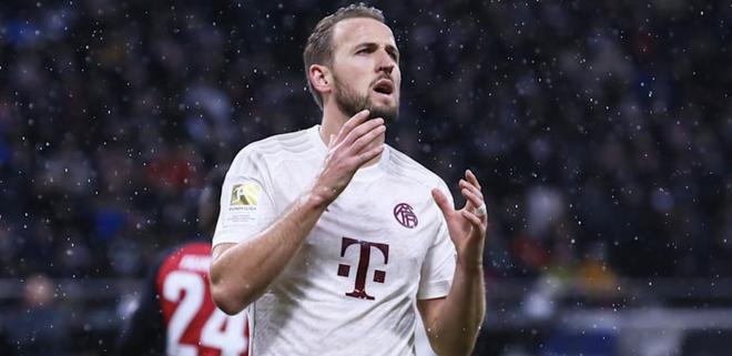 活性和迅速 活性和迅速