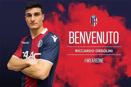 迷基础的球 迷基础的球