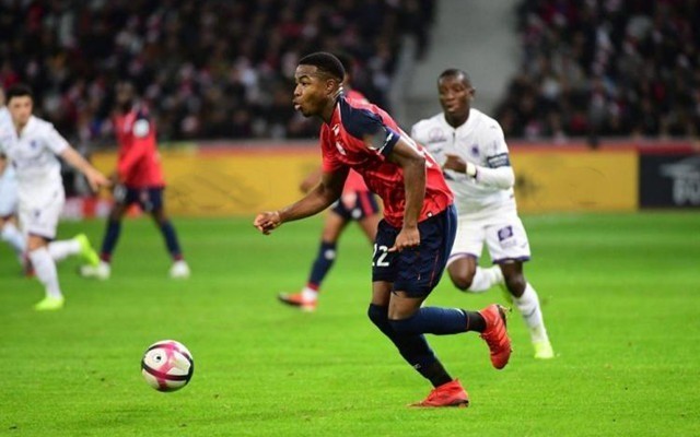 术的巧妙安 术的巧妙安