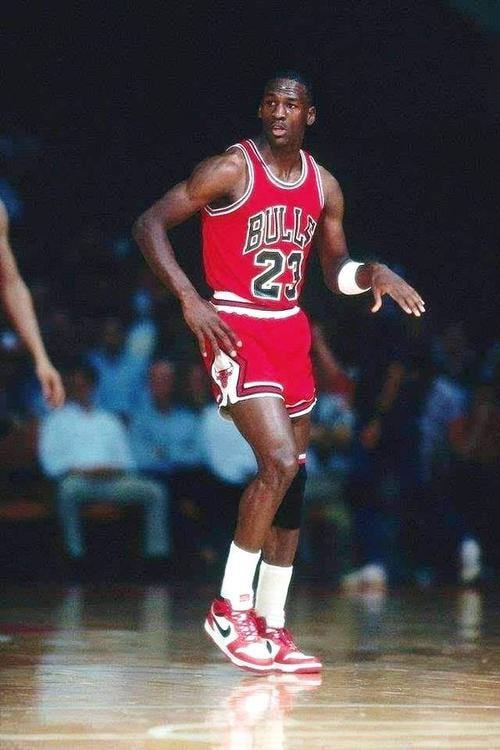 可以预见 可以预见