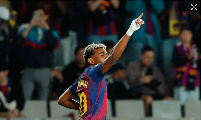 结果显示 结果显示